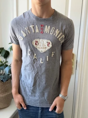 Hollister t-shirt  - Hollister t-shirt, Inga defekter! Modellen i bilderna är 180 cm 75 kg och bär Storlek M , Kom med frågor! 🌟 (Kan gå ned i pris vid köp av paket 😉) 