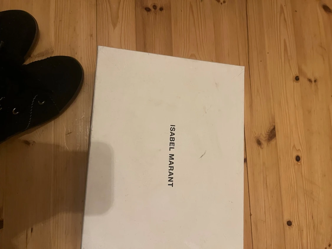 Svarta Isabel marants - 5