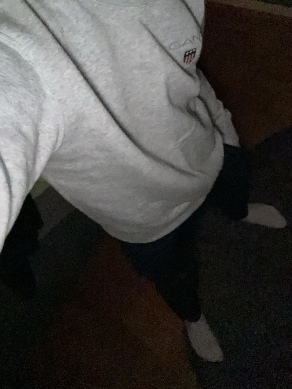 Grå sweatshirt från Gant