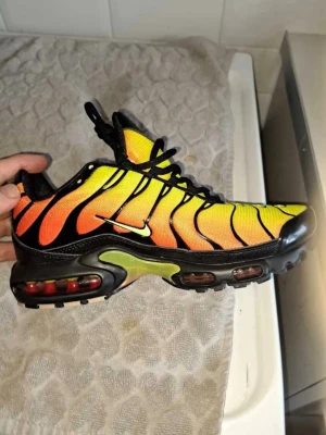 Nike Air Max Plus TN - nya, oanvända, 1:1, shipping kommer ta tid 