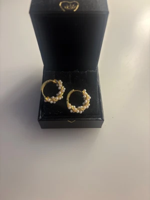 Guldiga hoops med pärlor - Säljer ett par snygga örhängen i form av små guldiga hoops dekorerade med vita pärlor runt hela ringen. Perfekta för dig som vill ha en elegant men trendig look. Kommer i en svart ask.