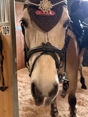 Divoyh Pannband svart - Divoyh Pannband svart, fint skick, strl cob/full, nypris: 899kr 