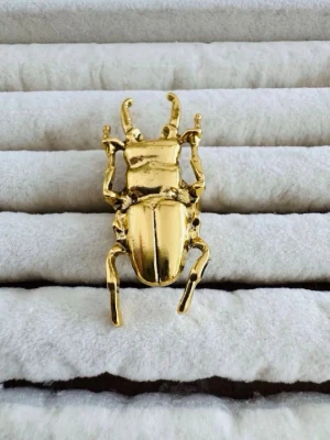 Guldfärgad ring med insektmotiv - Cool ring i guldfärgad metall formad som en skalbagge. Ringen har en detaljerad design med ben och kropp som sticker ut, vilket ger ett unikt och edgy uttryck. Perfekt accessoar för dig som gillar statement-smycken och djurinspirerade detaljer.