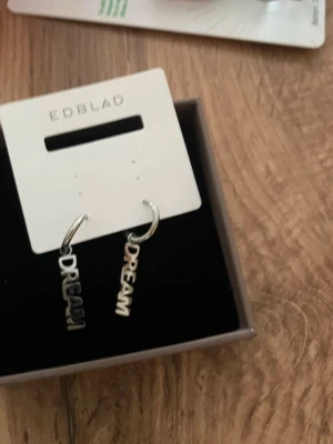 Dream örhängen Edblad - Ett par örhängen från Edblad med texten 'DREAM' i silverfärg.