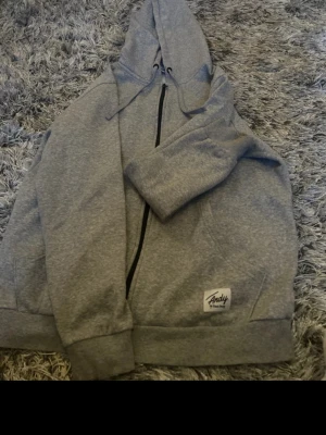 Grå hoodie från Andy by Frank Dandy - Snygg grå hoodie med dragkedja från Andy by Frank Dandy. Mjuk insida, huva med dragsko och ribbade muddar. Perfekt för en chill och avslappnad stil. Liten logga framtill på fickan. Passar dig som gillar enkel och stilren design.