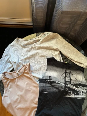 Tre toppar i olika stilar - Säljer tre toppar: en ljusgrå långärmad topp från Basic, ett beige ribbat linne med hög hals och ett svart linne med tryck av en bro i vitt och grått. Perfekta för att mixa och matcha till olika outfits.