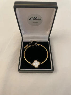 Guldpläterad armband - Rostfrittstål och guldpläterad, boxen på bilden ingår ej 🌸