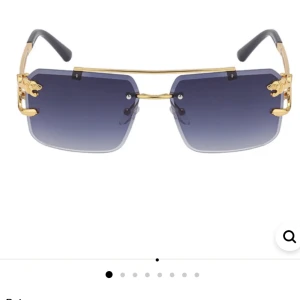 Solglasögon(leopard)  - Helt nya solglasögon marinblå färg 