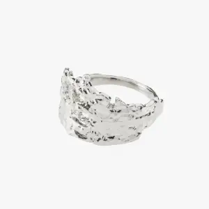 Säljer denna helt nya ring som är helt oanvänd även i silver. Ringen är från Pilgrim och är silverplaterad. Den är även justerbar vilket gör att den passar alla!  Nypris: 399