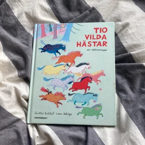Häst bok - Säljer en rolig o intressant bok för små barn. Den handlar om 10 Vilda Hästar som är fria o får problem på vägen men löser alla till slut☺️