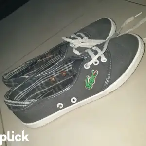 Lacoste skor storlek 37