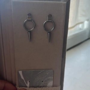 Edblad örhängen!!! - Säljer dessa jätte snygga edblad örhängen! Nypris 399kr edblad box ingår såklart! Kan gå ner i pris