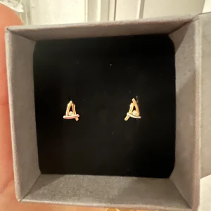 Örhängen  - Säljer dessa örhängen. Har aldrig använt, inte ens testat då det inte är min stil. Vet inte vart dem är ifrån då det var en öresent 