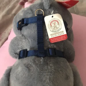 Helt ny katt/hund/kaninsele - Helt ny Trixie katt/kanin/hundsele,köpte fel färg därför säljer jag. Jag själv använder denna sort sele till mina kaniner✨😊🐰