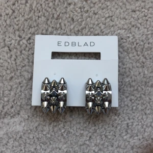 Edblad örhängen  - Jättefina örhängen från Edblad💗helt nya och aldrig använda