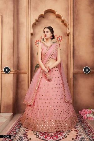 Peach lehenga skirt blouse scarf - Peach lehenga with net work underneath with blouse and dupatta (scarf)