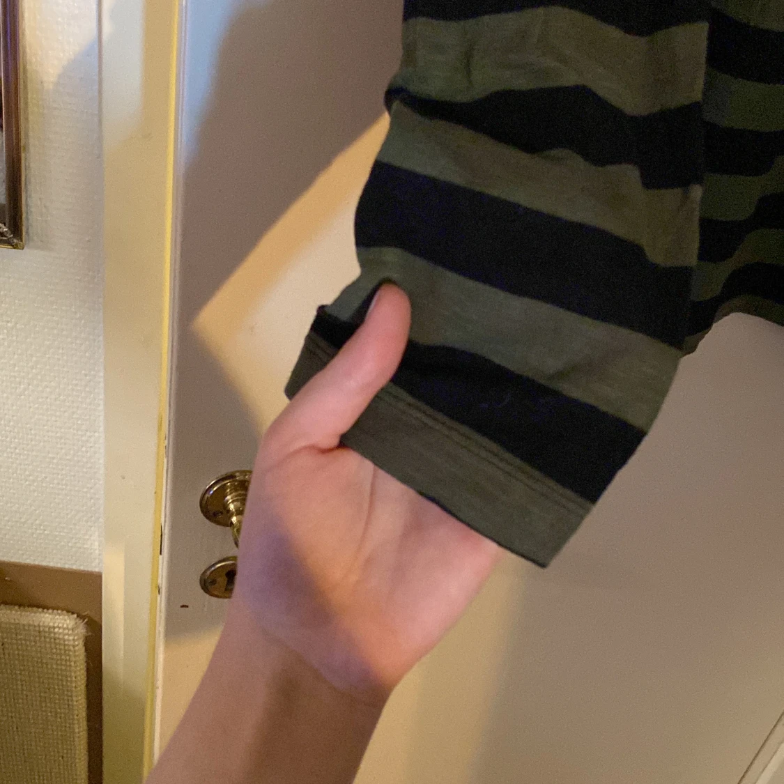 Randig långarmad  - 91