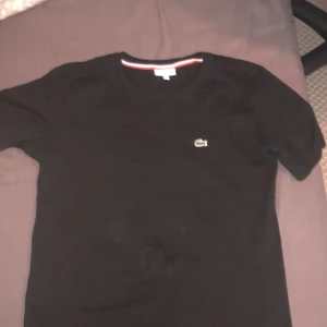 Lacoste t shirt  - HELT ny lacost t shirt aldrig använd storlek 164-170 lite liten på mig som är 174 köpt för 349 på kidsbrandstore 