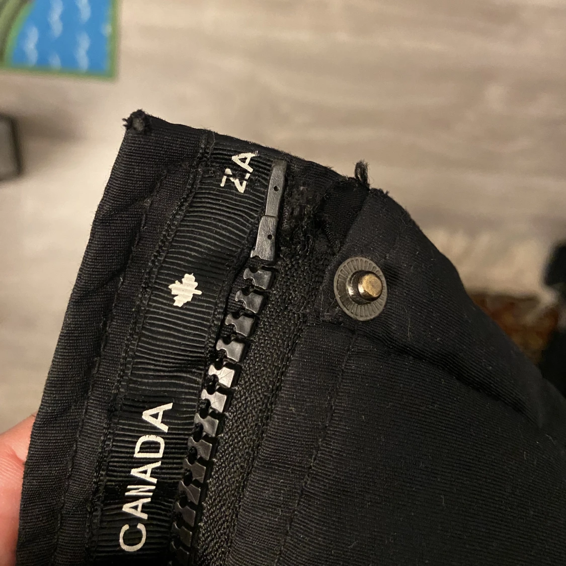 Zavetti Canada jacka - 91