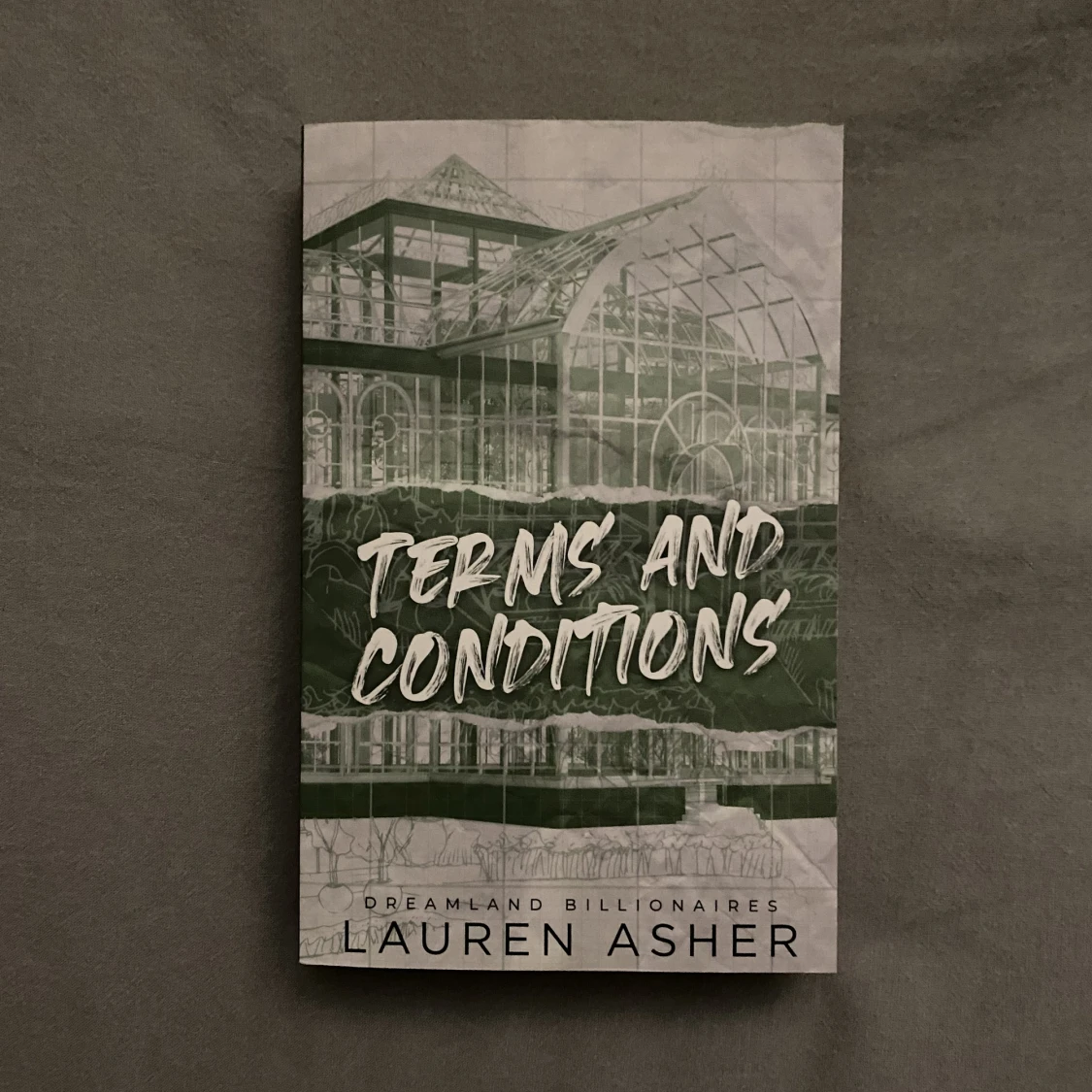 Lauren Asher böcker - 91