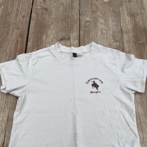 T-shirt - Fin T-shirt med ett bra skick. Bra storlek med en kortare längd. 