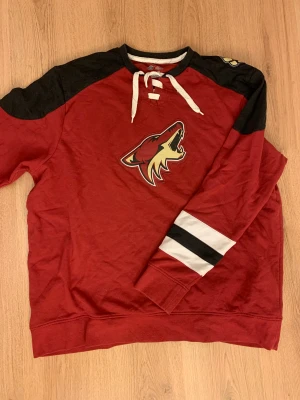 Hockeytröja  - Så cool och mysig tjocktröja!!🫶🏼