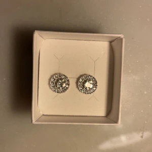 Örhängen - Silvriga lily & rose liknande örhängen!