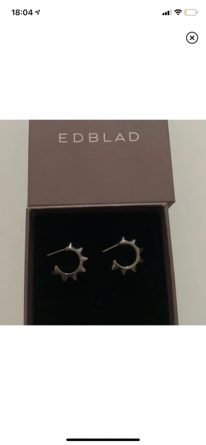 Edblad örhängen  - Säljer mina edblad örhängen i nytt skick då jag köpt ett par i guld. Passar till allt och är sjukt trendiga. Använda ca 2-3 gånger. Frakten kan bli billigare! 