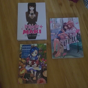 Manga - Alla tre är på engelska. Ascendance of a bookworm är en lightnovel, inte manga!! Kontakta mig, tryck inte på köp nu.  Syrup- SÅLD. Inside Mari- 120 kr Ascendance of a Bookworm- 100 kr  De är alla väldigt nya och endast lästa en gång var.