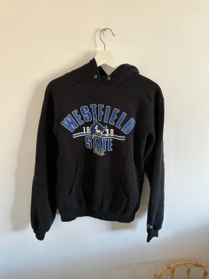 Vintage champion hoodie - Vintage champion hoodie, storlek Small, pris 250kr + frakt, se bilder för skick 