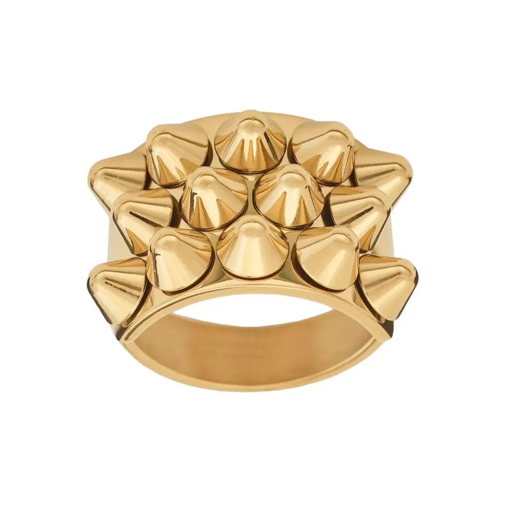 Säljer detta supercoola smyckes”set” från Edblad!💥🥂🐆nypris ≈ 800kr. Accessoarer.