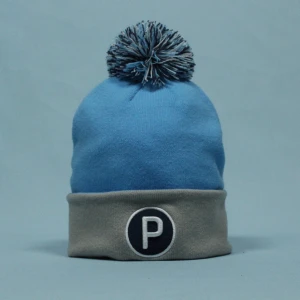 Puma Mössa - Fabriksny mössa som endast används vid fotografering. Skicket är 10/10 utan defekter. Vid frågor eller önskan om mer bilder skriv gärna eller kolla in våran hemsida https://d2cb48.myshopify.com/    Ordinarie pris: 300 kronor