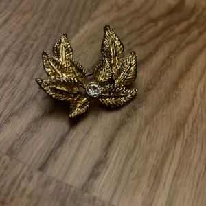 en brosch - Jag säljer den där brosch. Jag behöver inte längre. Män kanske du kan gillar den 🥹. Plus om du köper du får en gratis bok 📖. 