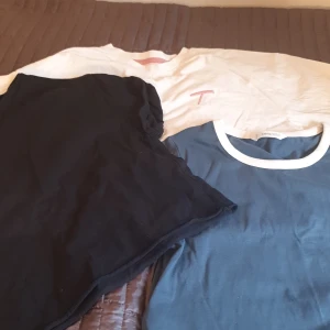 Kort armad mango tröja - Säljer dom här korta mango tröjorna tyväär har jag växt ut dom men väldigt bra skick säljer för 10 st