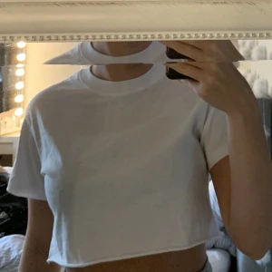 Kroppad t-shirt - Kroppad t-shirt från bikbok. Bra skick