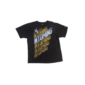 Champion Wyoming Vintage T-shirt 🖤  Pris: •199kr  Stl: M  Bredd 52cm Längd 65cm  Kontakta oss för mer info🤍 