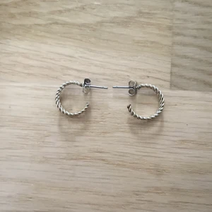 Silverörhängen från H&M  - Silverörhängen från H&M med två tvinnade metall hoops. 