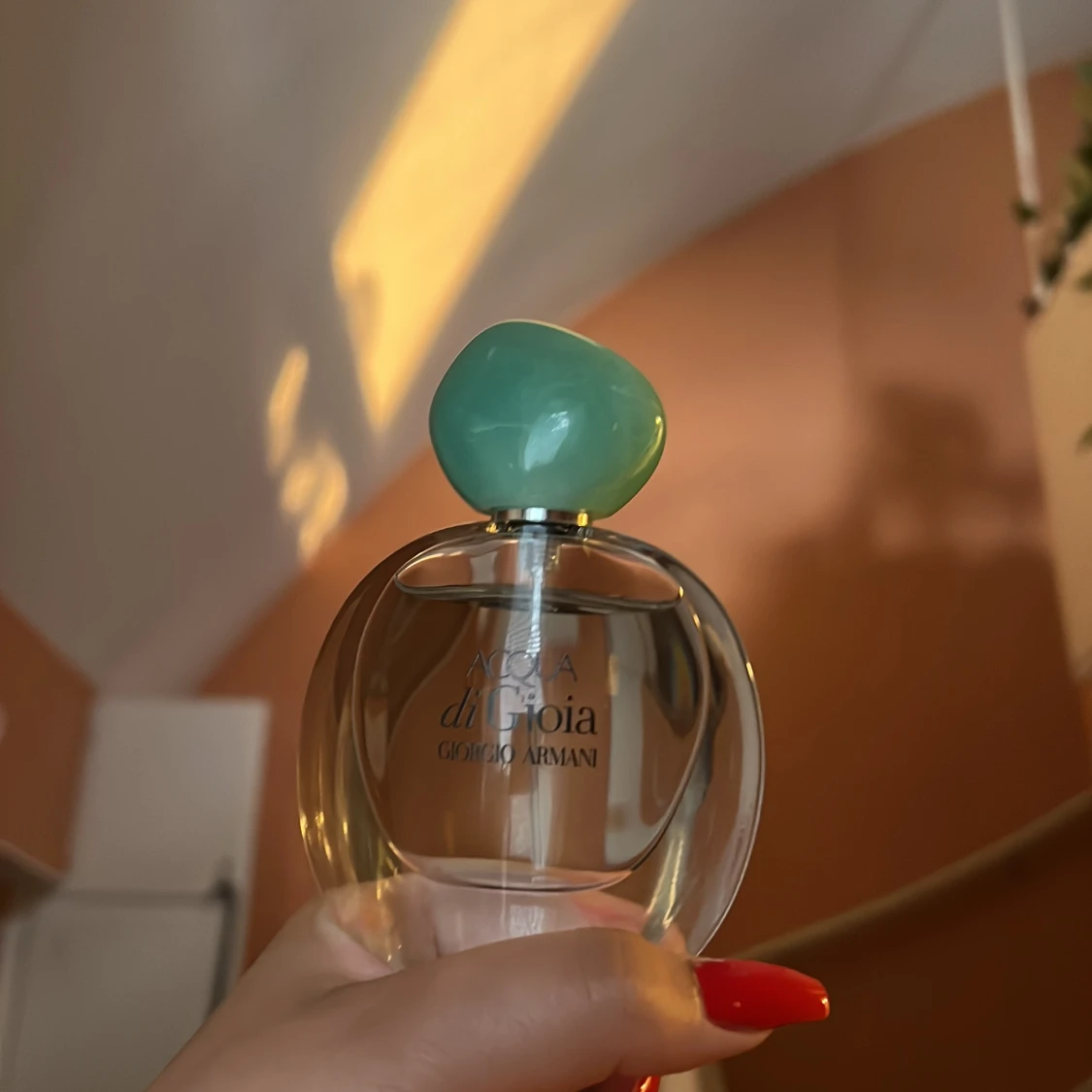 Acqua di Gioia - 90