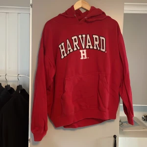 Harvard Hoodie - Harvard 