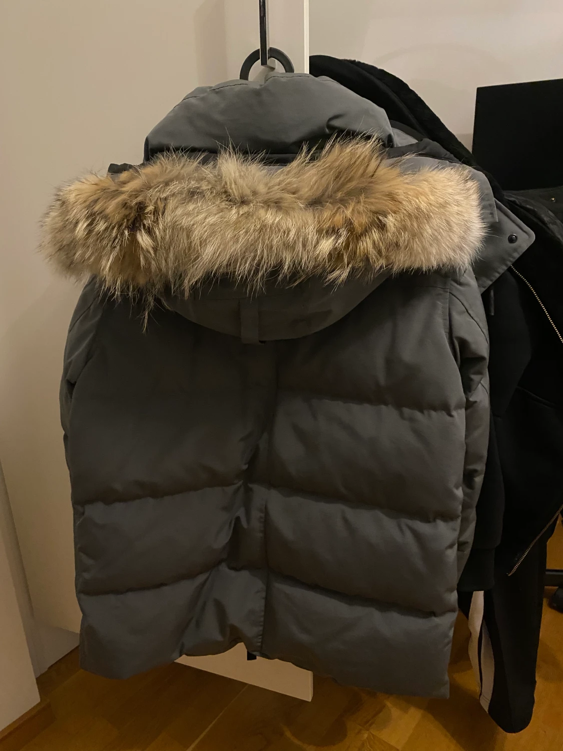 Camada goose (Black label) - 90