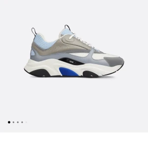Dior skor b22 - Säljer dessa dior skor som är oanvända då jag inte har användning av de.