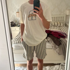 Shorts från Zara - Ett par shorts från zara i storlek L