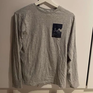 Långarmad tröja - En grå lång armad tröja med tryck på bröstet