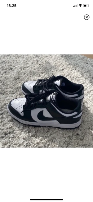 nike dunks dunk low - dunks i nyskick, storlek 39