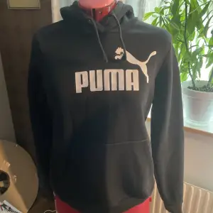 A hoodie from puma Very used Chewed strands Don’t know Original price  Price is negotiable 