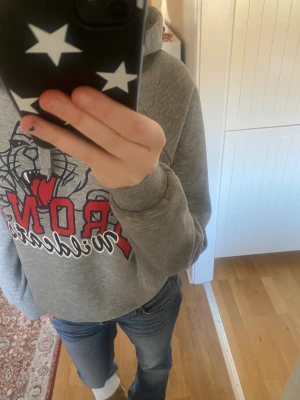Hoodie  - En grå fin hoodie🫶🏻 Lite nopprig men annars är den i bra skick Skriv för funderingar ❤️❤️