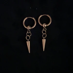 Örhängen  - Rostfria örhängen 