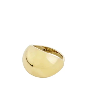 Pilgrim Gold Plated Ring - Pilgrim Alicia Ring, går att justera storlek. Gold Plated (stål).  Säljer då jag ej använder den, i nyskick. Org 350, säljer för 200kr  SKRIV FÖR EGEN BILD 🧡💛