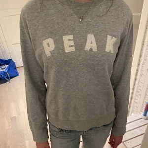 Peak Performance tröja - Super fin grå tröja från peak 🩶M i barn storlek men passar en XS. Inga fläckar och pris kan diskuteras 💕