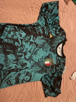 Italien fotbolltröja  - Har inte använt den och kommer inte se mig använda den
